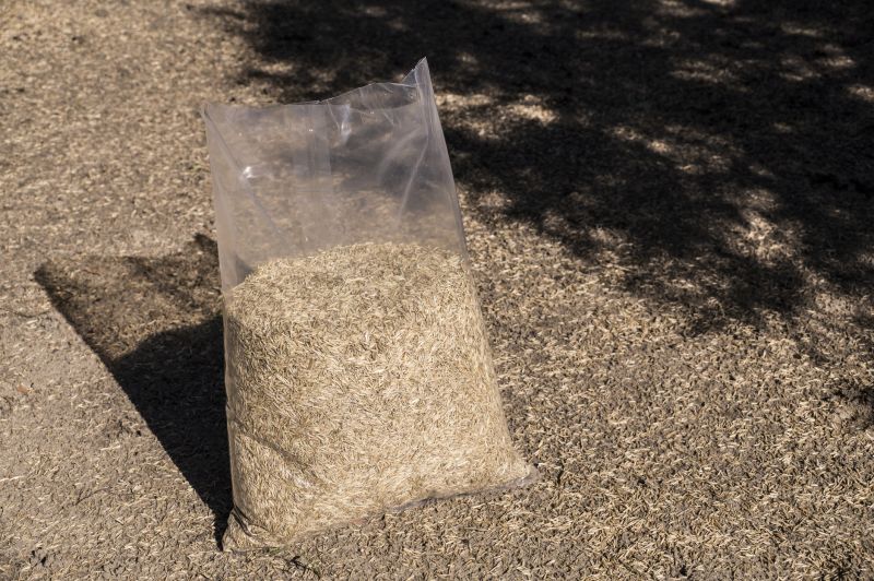 Fall Turf Seeding