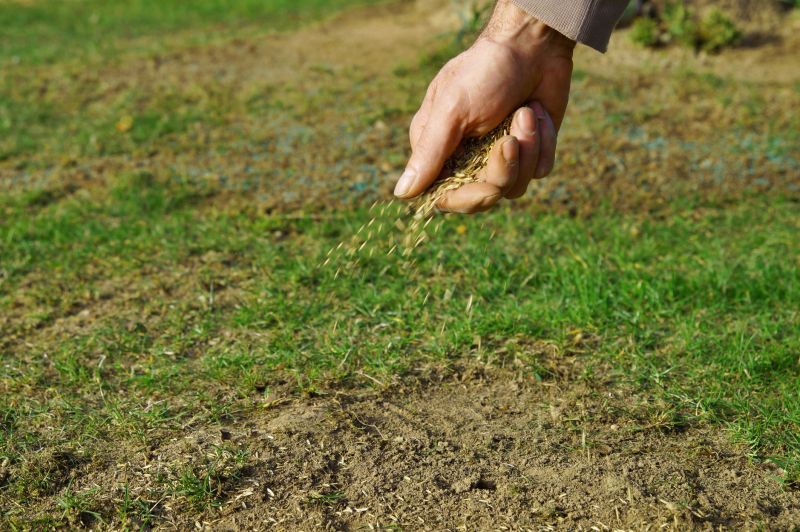 Fall Turf Seeding