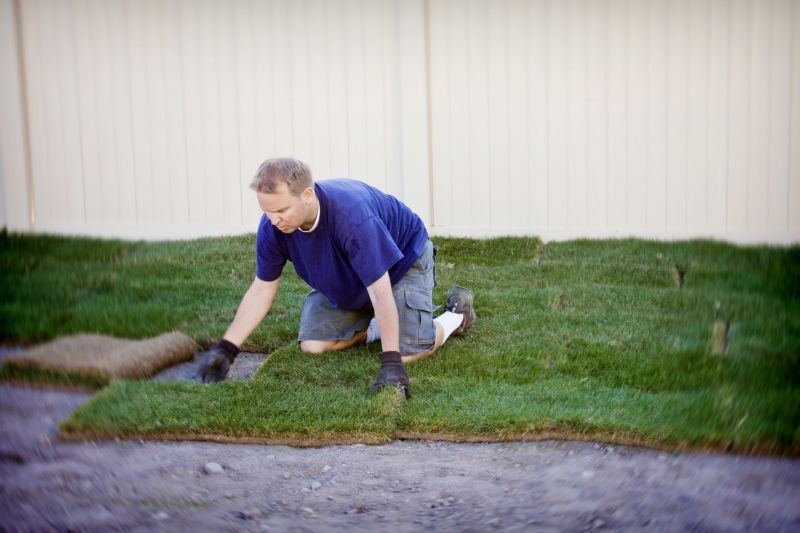 Bahia Sod Installation in Ventura County, CA