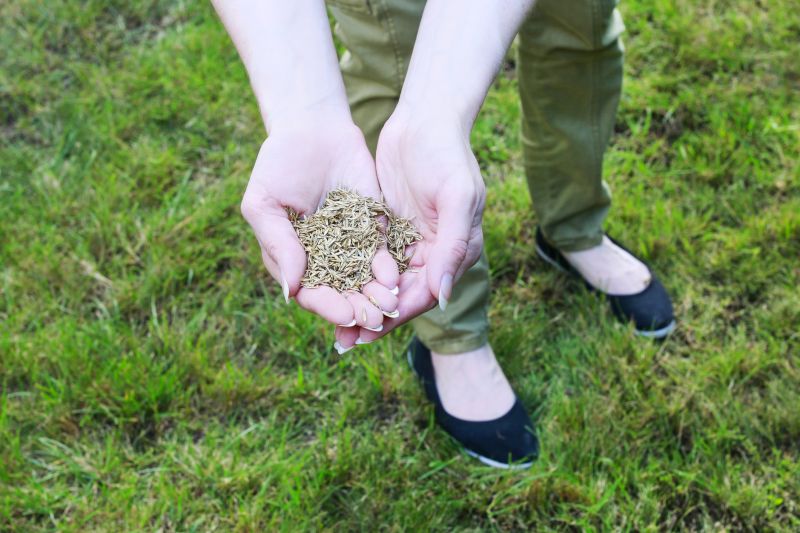 Lawn Size and Coverage Area