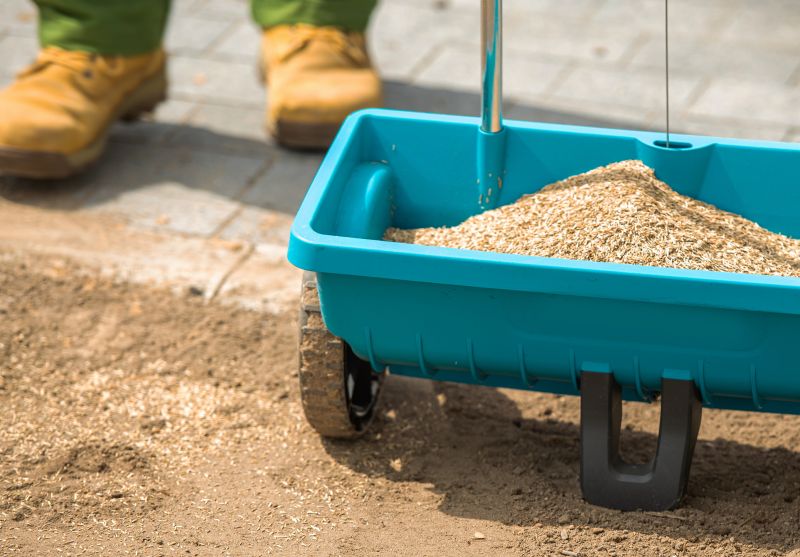 What To Expect During A Professional Seeding Service